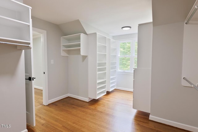 14236 Wyndfield Cir, Raleigh, NC 27615 - photo 33