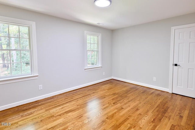 14236 Wyndfield Cir, Raleigh, NC 27615 - photo 42