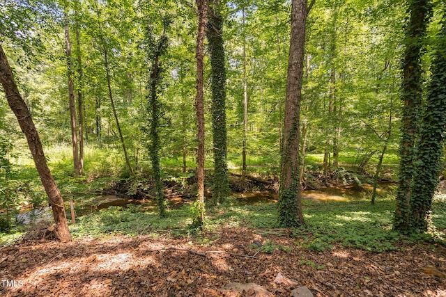 7286 Shellburne Dr, Raleigh, NC 27612 - view of local wilderness