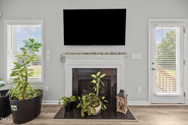 19 Linda Lou Ln Unit 19, Angier, NC 27501 - detailed view of wood finished floors and a glass covered fireplace