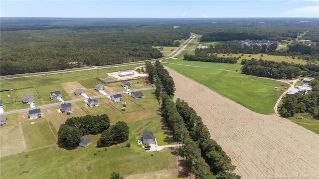 158 Sweet Grass Ln, Raeford, NC 28376 - photo 43