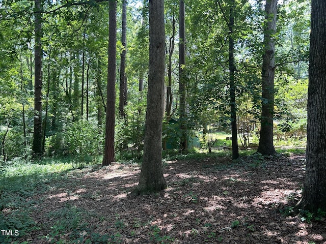 1225 Fairlane Rd, Cary, NC 27511 - photo 29