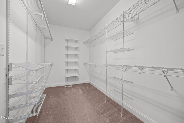 6965 Ogburn Farms Dr, Willow Springs, NC 27592 - walk in closet featuring carpet floors