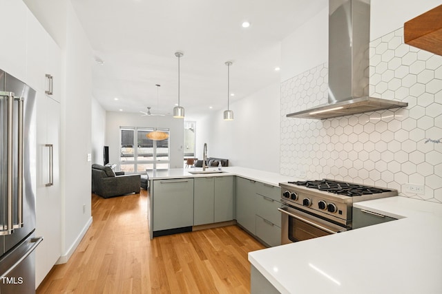 402 Chavis Way, Raleigh, NC 27601 - kitchen featuring high quality appliances, wall chimney exhaust hood, a peninsula, light wood-style floors, and tasteful backsplash