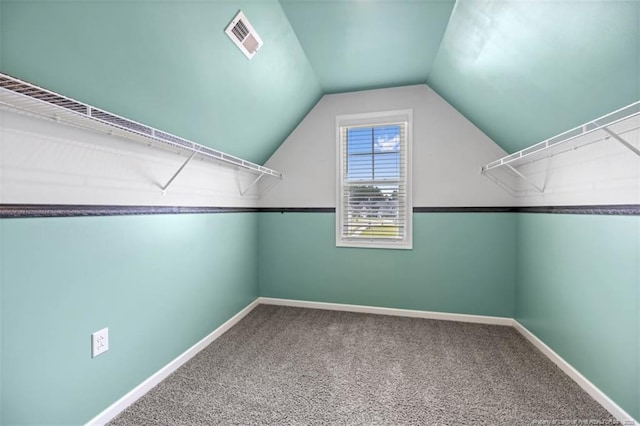 399 Springhaven Dr, Raeford, NC 28376 - spacious closet with carpet floors and vaulted ceiling