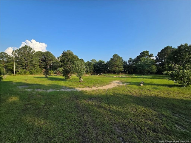 2160 Montana Rd, Hope Mills, NC 28306 - photo 1