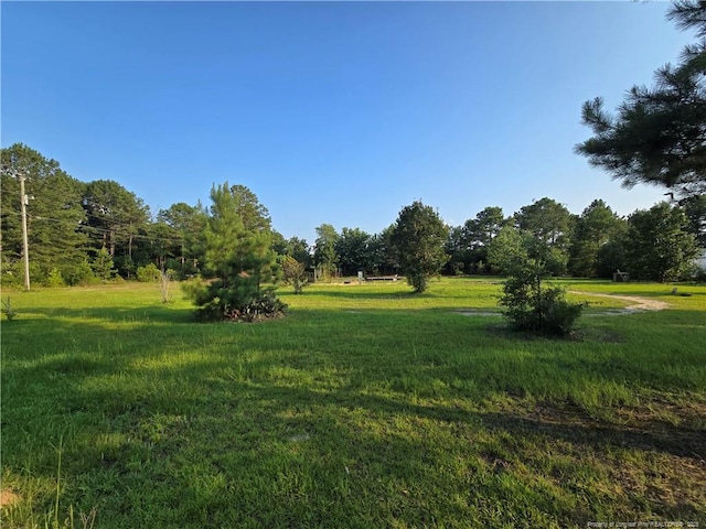2160 Montana Rd, Hope Mills, NC 28306 - photo 3