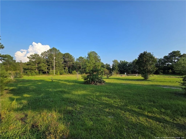 2160 Montana Rd, Hope Mills, NC 28306 - photo 4