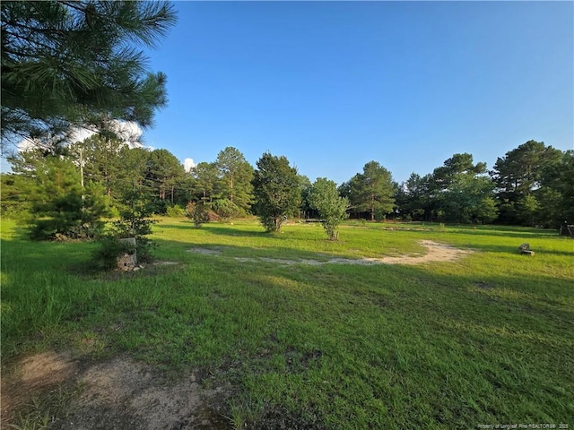 2160 Montana Rd, Hope Mills, NC 28306 - photo 5
