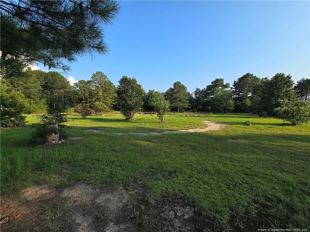 2160 Montana Rd, Hope Mills, NC 28306 - photo 6