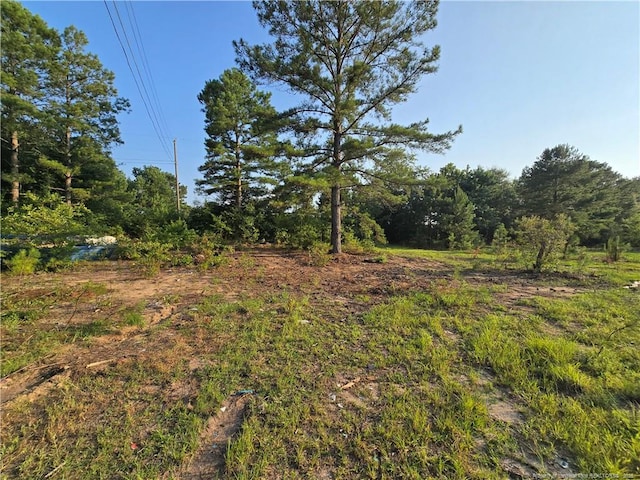 2160 Montana Rd, Hope Mills, NC 28306 - photo 9