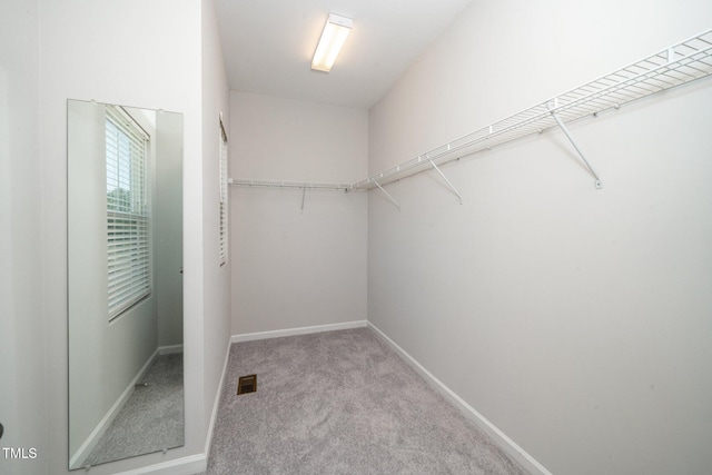 1022 Homecoming Way, Durham, NC 27703 - photo 19