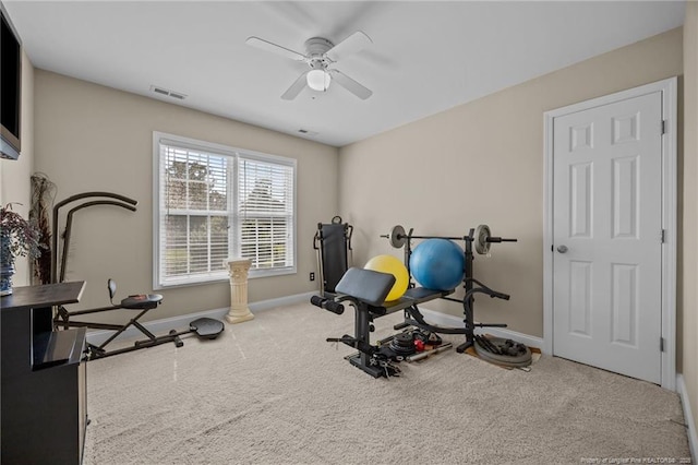 115 Race Ct, Godwin, NC 28344 - workout area with a ceiling fan and carpet floors