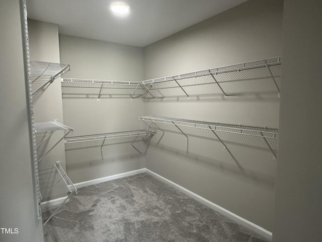 205 Bog Hill Ln, Cary, NC 27519 - walk in closet with carpet
