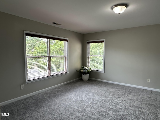 205 Bog Hill Ln, Cary, NC 27519 - carpeted spare room with healthy amount of natural light