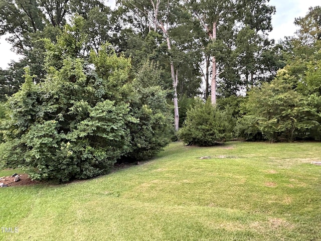 2331 Kennington Rd, Raleigh, NC 27610 - view of green lawn