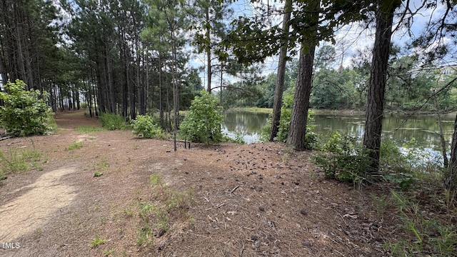 4949 Microcline Trl, Raleigh, NC 27610 - water view