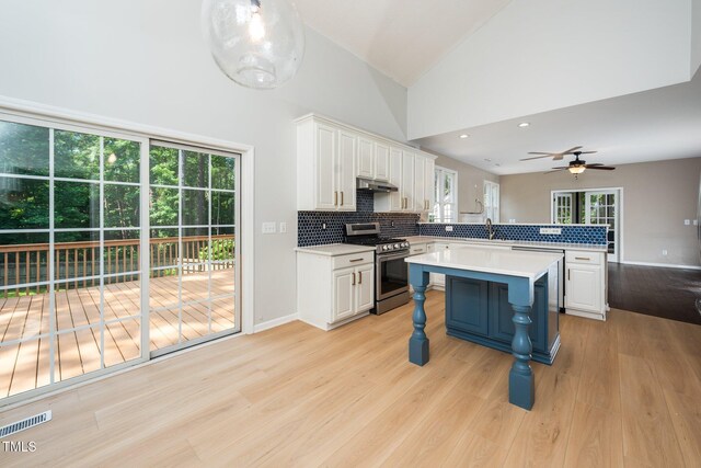316 Academia Ct, Durham, NC 27713 - photo 19