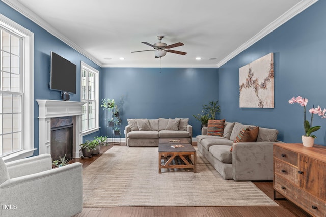 2716 Lake Waccamaw Trl, Apex, NC 27502 - living area featuring a ceiling fan, recessed lighting, crown molding, wood finished floors, and a fireplace