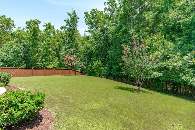 2716 Lake Waccamaw Trl, Apex, NC 27502 - view of yard