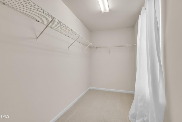 316 Vintage Holly Dr, Durham, NC 27703 - walk in closet featuring light colored carpet