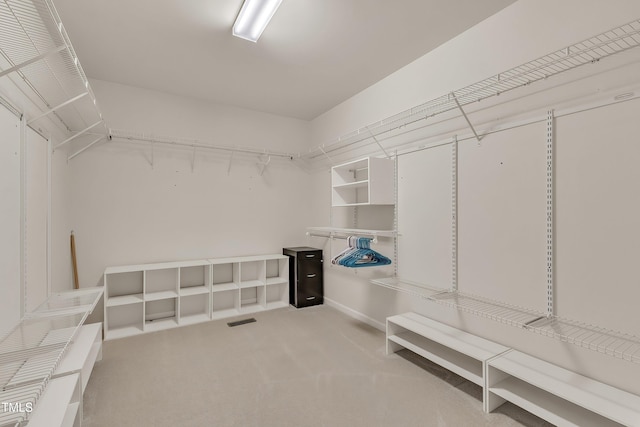 316 Vintage Holly Dr, Durham, NC 27703 - walk in closet featuring light colored carpet