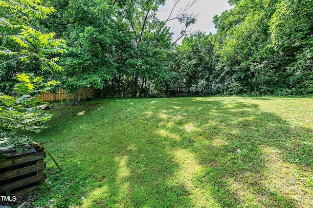 806 Eva St, Durham, NC 27701 - view of yard