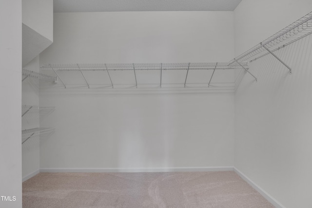 5000 Mocha Ln, Raleigh, NC 27616 - photo 21