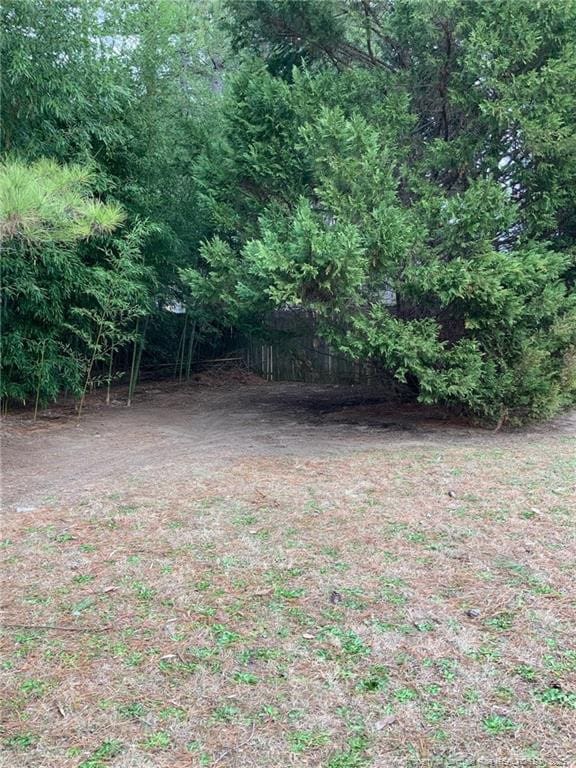 101 Horace Ct, Raeford, NC 28376 - view of yard