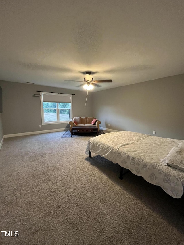 820 Christian Light Rd, Fuquay Varina, NC 27526 - bedroom featuring carpet floors and ceiling fan