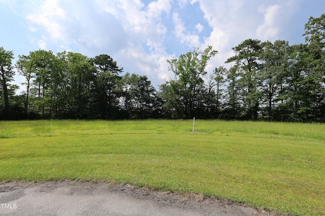 0 Pointe Harbor Dr, Belhaven, NC 27810