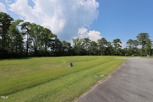 0 Pointe Harbor Dr, Belhaven, NC 27810
