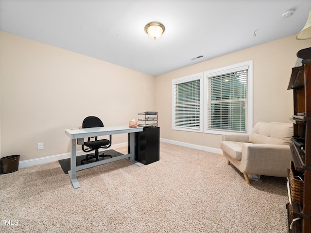 218 Inwood Forest Dr, Raleigh, NC 27603 - office space with carpet floors