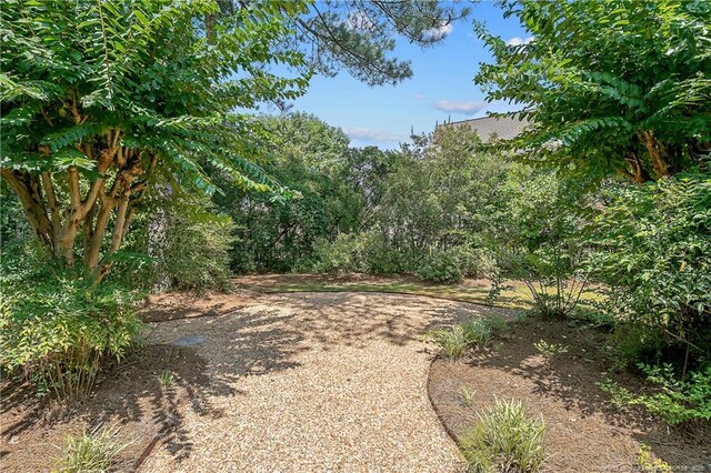 7058 Pitcairn Dr, Fayetteville, NC 28306 - photo 50