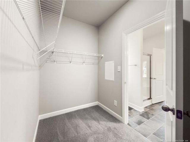 29 Red Bird Dr, Cameron, NC 28326 - view of walk in closet