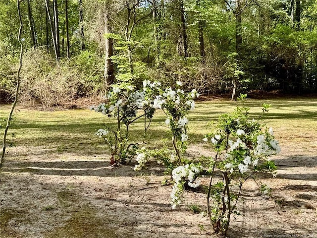 4216 Tranquility Rd, Fayetteville, NC 28306 - photo 5