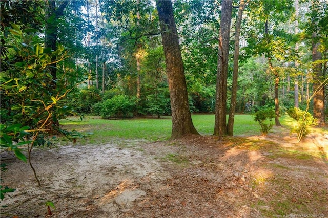 4216 Tranquility Rd, Fayetteville, NC 28306 - photo 31