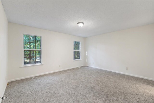 1209 Waterford Green Dr, Apex, NC 27502 - empty room with plenty of natural light, carpet flooring, and a textured ceiling