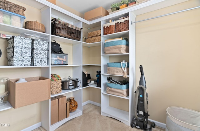 3806 Stoneybrook Dr, Durham, NC 27705 - view of storage