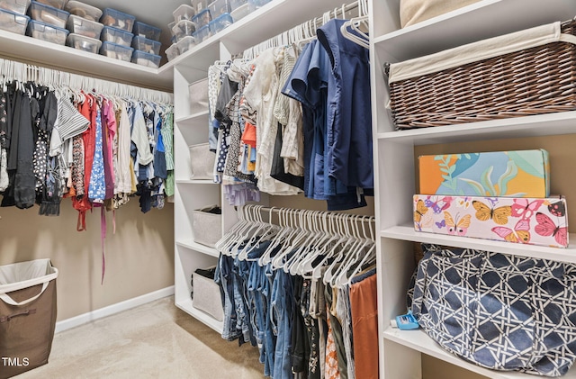 3806 Stoneybrook Dr, Durham, NC 27705 - spacious closet with carpet