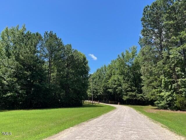 162 Black Horse Ln, Kittrell, NC 27544 - view of road featuring a forest view