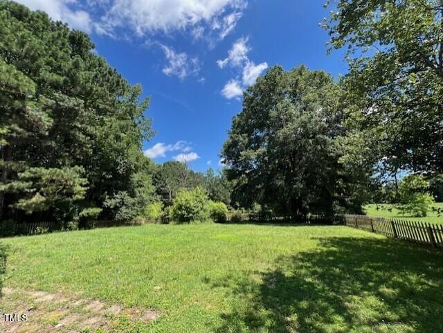162 Black Horse Ln, Kittrell, NC 27544 - view of yard