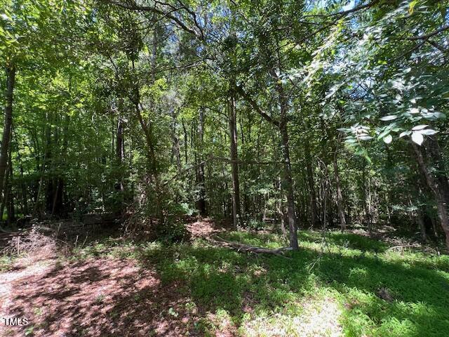 162 Black Horse Ln, Kittrell, NC 27544 - view of woods