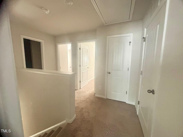 50 Teal Dr, Youngsville, NC 27596 - photo 20