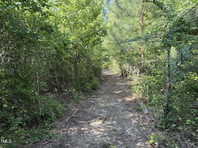 0 Burchette Rd, Manson, NC 27553