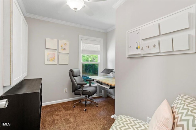 4404 Oak Park Rd, Raleigh, NC 27612 - photo 21