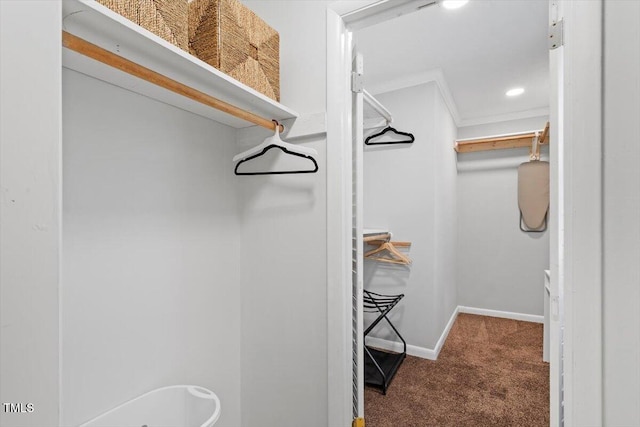 4404 Oak Park Rd, Raleigh, NC 27612 - photo 28