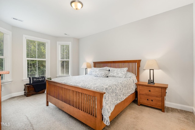 210 Olde Liberty Dr, Youngsville, NC 27596 - photo 21