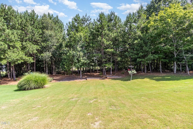 210 Olde Liberty Dr, Youngsville, NC 27596 - photo 30