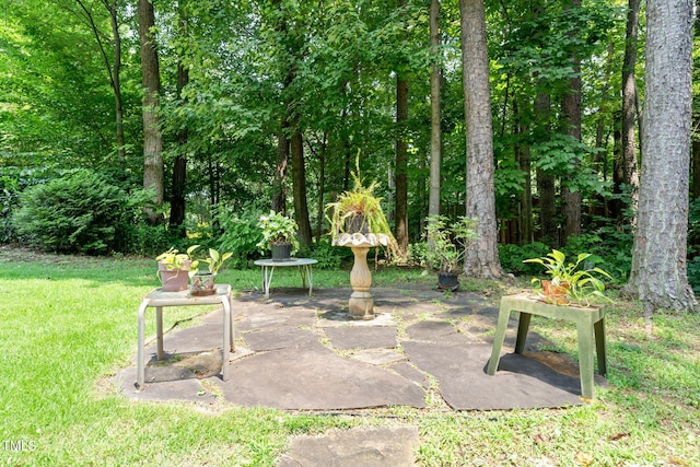 2849 Rue Sans Famille, Raleigh, NC 27607 - photo 38